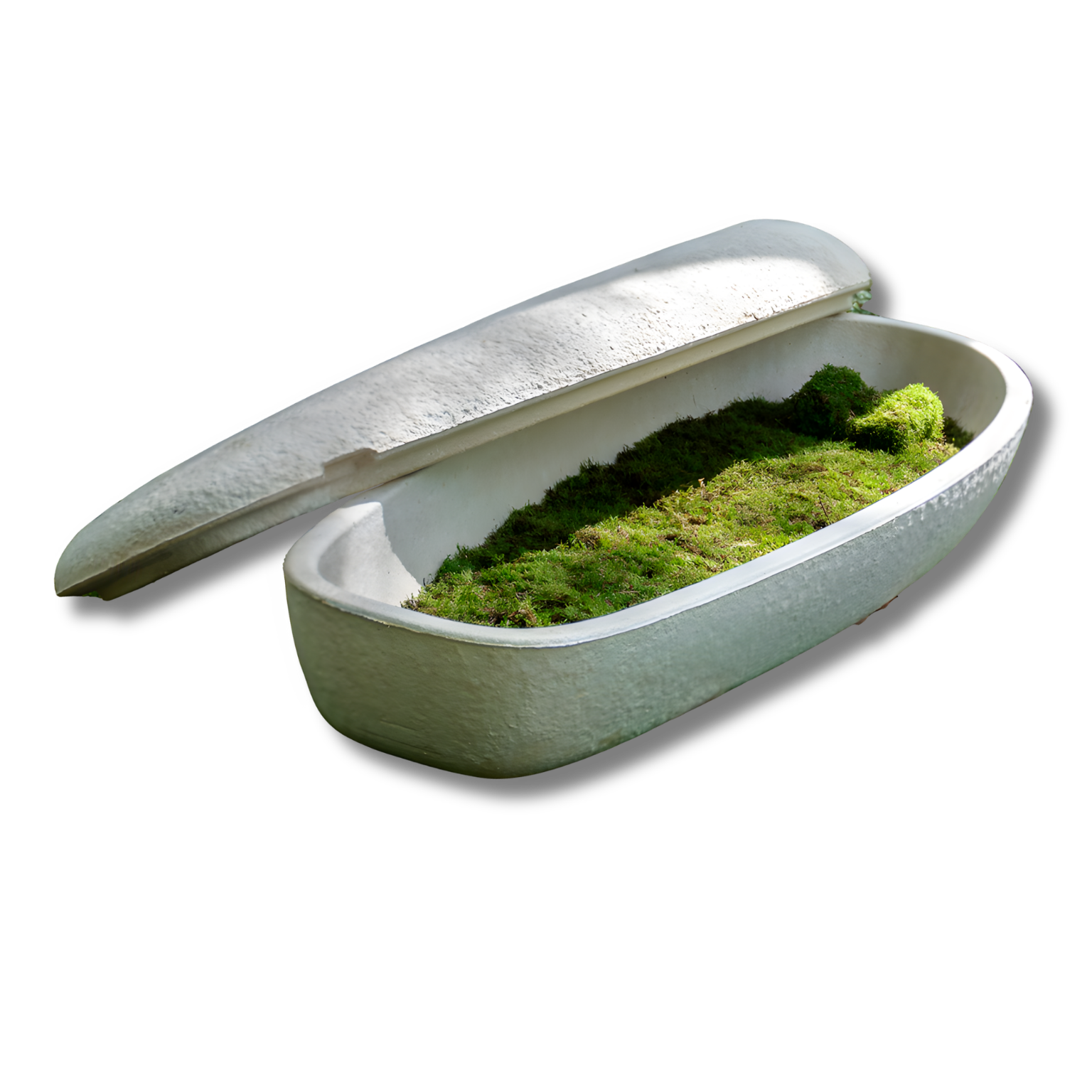 Loop Living Cocoon